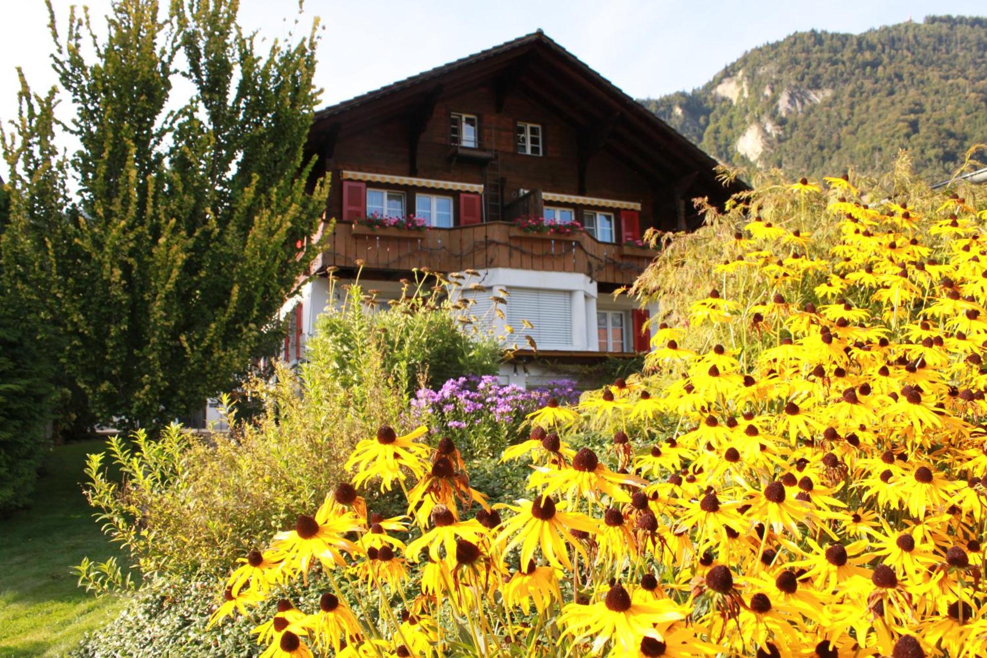 Adventure Guesthouse Interlaken Unterseen Екстериор снимка
